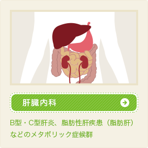 肝臓内科「B型・C型肝炎、脂肪性肝疾患（脂肪肝）などのメタボリック症候群」